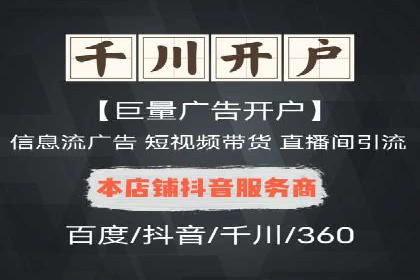 百度竞价赚钱技巧：实战案例分析
